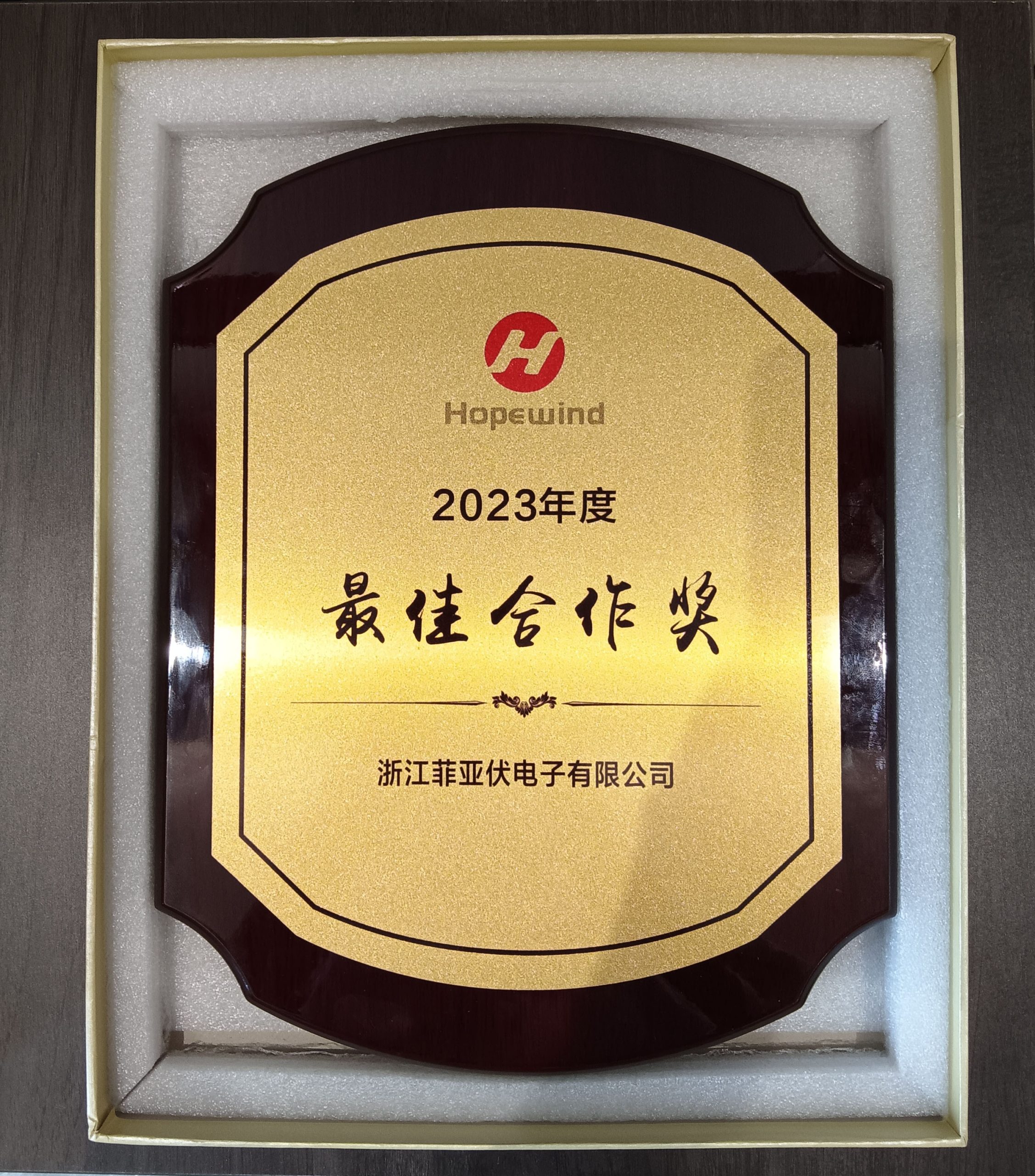 Our company won the best cooperation award from Hopewind
